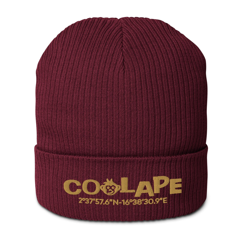 Funky CoolApe Organic ribbed beanie in Various Colours - CoolApe.co.uk
